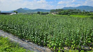 송정님의 자유주제 · 자유게시판 작성글 사진