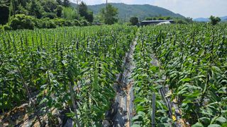 송정님의 자유주제 · 자유게시판 작성글 사진