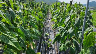 송정님의 자유주제 · 자유게시판 작성글 사진