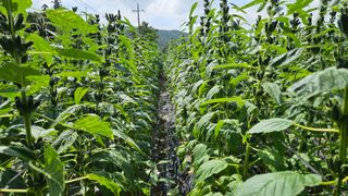 송정님의 자유주제 · 자유게시판 작성글 사진