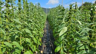 송정님의 자유주제 · 자유게시판 작성글 사진