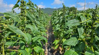 송정님의 자유주제 · 자유게시판 작성글 사진