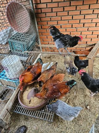 호욱33459725님의 작성글 사진