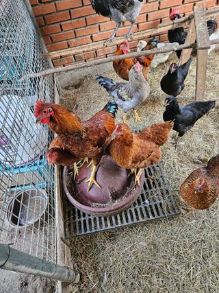 호욱33459725님의 작성글 사진