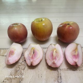 아림농장 대저2동 님의 자유주제 · 자유게시판 작성글 사진
