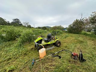 4륜구동경운기님의 감 · 영농일지 작성글 사진