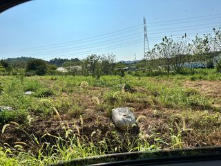4륜구동경운기님의 감 · 영농일지 작성글 사진
