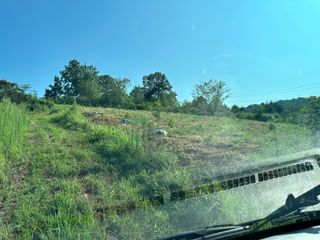 4륜구동경운기님의 감 · 영농일지 작성글 사진