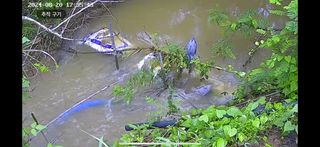 4륜구동경운기님의 벼 · 영농일지 작성글 사진