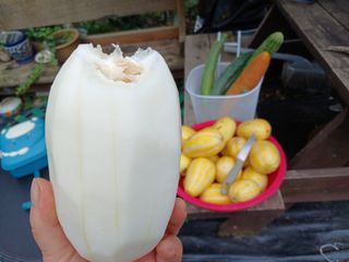 금동이네님의 자유주제 · 자유게시판 작성글 사진