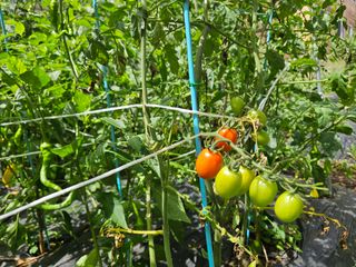 Captain김상곤님의 기타작물 · 자유게시판 작성글 사진