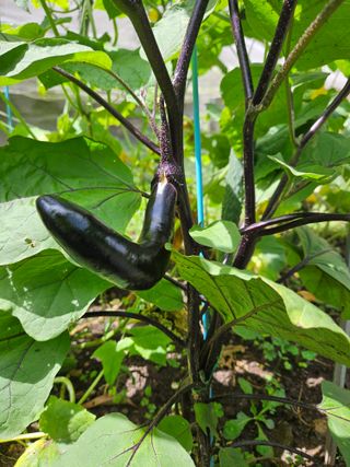 Captain김상곤님의 기타작물 · 자유게시판 작성글 사진