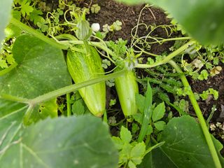 Captain김상곤님의 기타작물 · 자유게시판 작성글 사진