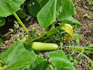 Captain김상곤님의 기타작물 · 자유게시판 작성글 사진