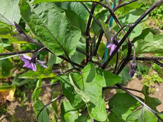 Captain김상곤님의 기타작물 · 자유게시판 작성글 사진