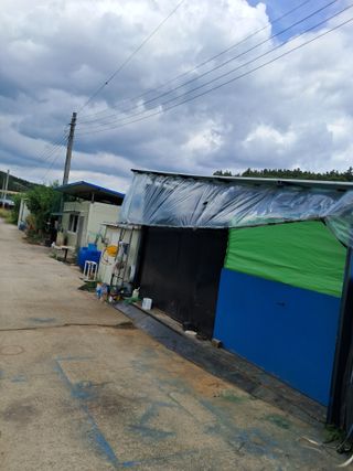 꿈속의농원님의 자유주제 · 자유게시판 작성글 사진