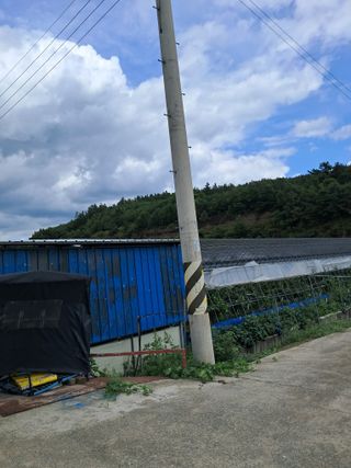 꿈속의농원님의 자유주제 · 자유게시판 작성글 사진