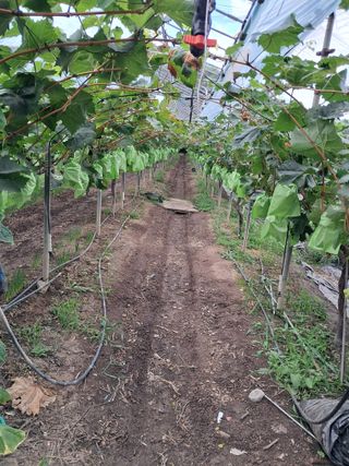 꿈속의농원님의 자유주제 · 자유게시판 작성글 사진