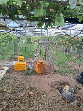 꿈속의농원님의 자유주제 · 자유게시판 작성글 사진