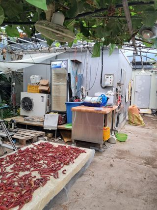 꿈속의농원님의 자유주제 · 자유게시판 작성글 사진