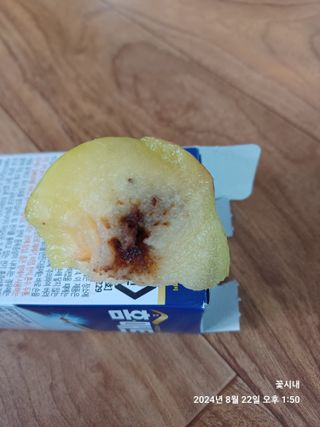 텃밭님의 자두 · 병해충상담 작성글 사진