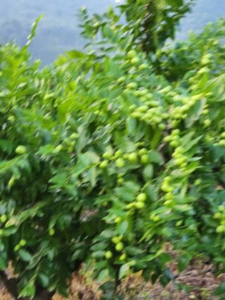 신평식님의 자유주제 · 자유게시판 작성글 사진