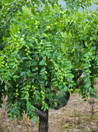 신평식님의 자유주제 · 자유게시판 작성글 사진