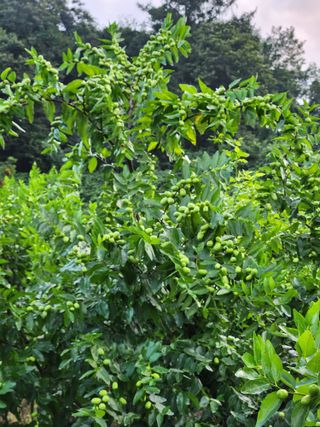 신평식님의 자유주제 · 자유게시판 작성글 사진