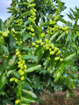 신평식님의 자유주제 · 자유게시판 작성글 사진