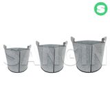 팜모닝 · 게시글 이미지