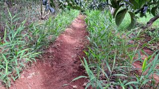 이규상님의 기타작물 · 영농일지 작성글 사진