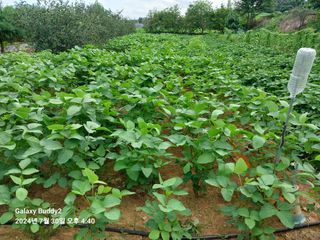 바위돌 심재성님의 자유주제 · 자유게시판 작성글 사진