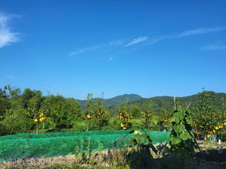 김미량님의 기타작물 · 영농일지 작성글 사진