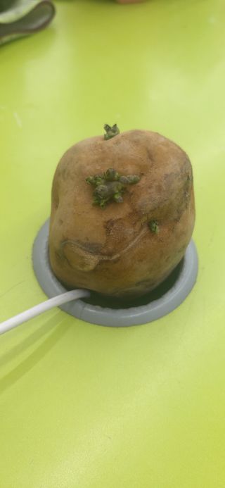 배추16219님의 자유주제 · 자유게시판 작성글 사진