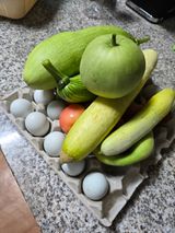 팜모닝 자유주제·자유게시판 게시글 이미지