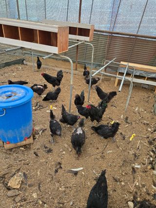 김희영님의 자유주제 · 자유게시판 작성글 사진