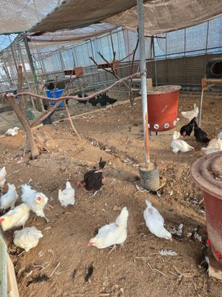 김희영님의 자유주제 · 자유게시판 작성글 사진