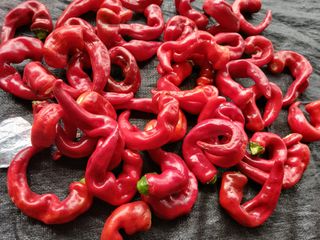 최남옥님의 자유주제 · 자유게시판 작성글 사진