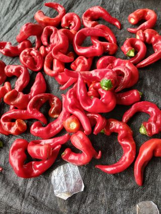 최남옥님의 자유주제 · 자유게시판 작성글 사진