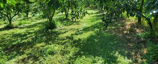 복주농장님의 자유주제 · 자유게시판 작성글 사진