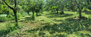 복주농장님의 자유주제 · 자유게시판 작성글 사진