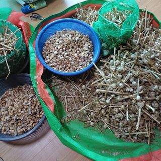 삼성농산님의 자유주제 · 자유게시판 작성글 사진