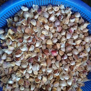 삼성농산님의 자유주제 · 자유게시판 작성글 사진