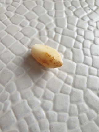 샤이니바다님의 자유주제 · 자유게시판 작성글 사진