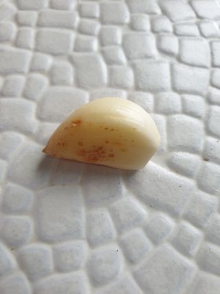 샤이니바다님의 자유주제 · 자유게시판 작성글 사진