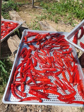 정봉원님의 자유주제 · 자유게시판 작성글 사진