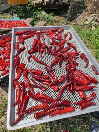 정봉원님의 자유주제 · 자유게시판 작성글 사진