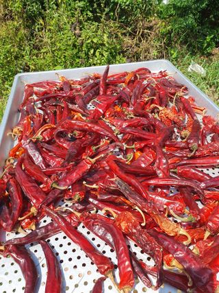 정봉원님의 자유주제 · 자유게시판 작성글 사진