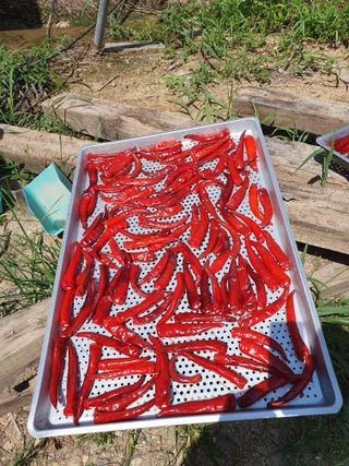 정봉원님의 자유주제 · 자유게시판 작성글 사진