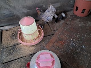 전희분님의 자유주제 · 자유게시판 작성글 사진